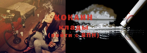 2c-b Болотное