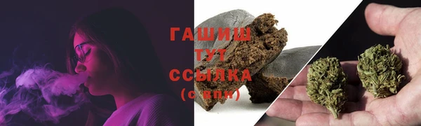 индика Абаза