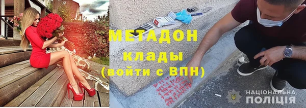 индика Абаза