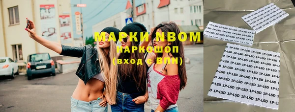 индика Абаза